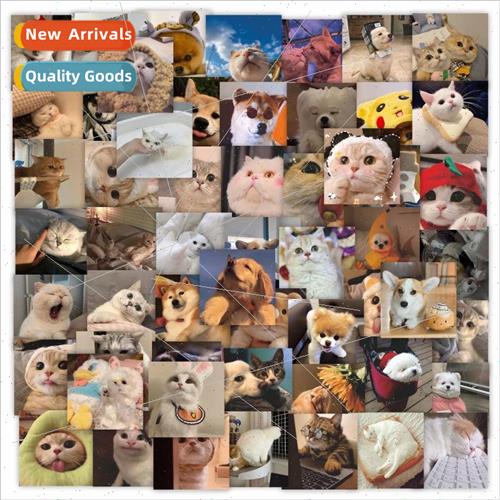 New 56 cute pet cute cats funny dog funny expression phone c