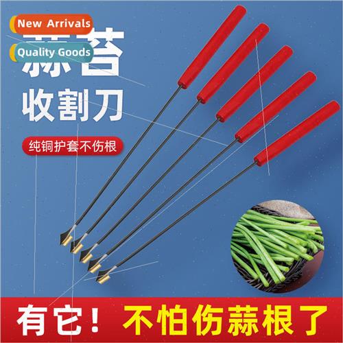 Garlic moss harvesting knife pump garlic shoots god tool pum