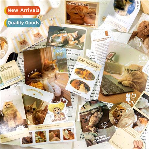Twilight Sticker Pack Pet Holiday Collection Copperplate Pap