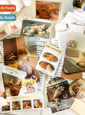 Twilight Sticker Pack Pet Holiday Collection Copperplate Pap