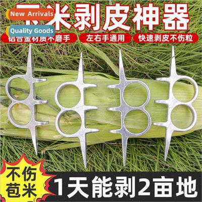 Peeling corn skin artifacts peeling bracts fall harvest agri