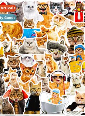 50 realistic cat stickers fun diy kids stickers focus critte