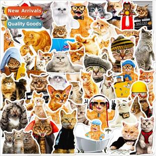 50 realistic cat stickers fun diy kids stickers focus critte