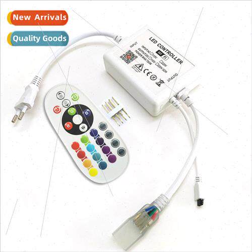 Graffiti High Voltage Controller 220V Input Output Wireless