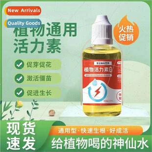 Plant Energizer hydroponics green plant to raise flowers gen