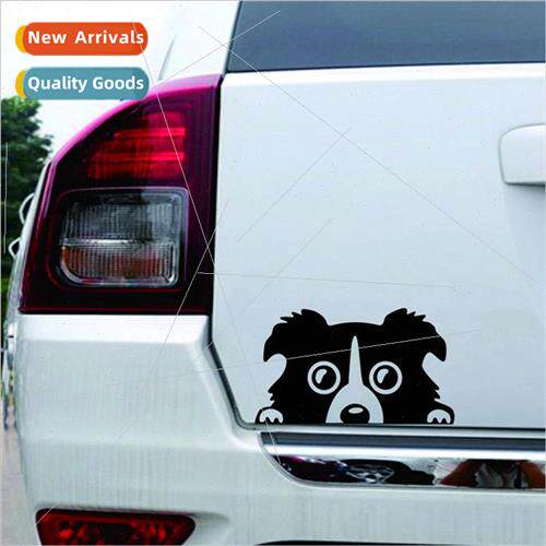 R461 car reflective stickers climbing dog decorative car sti