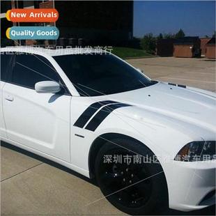 Vinyl Car Pattern Stripe Stickers Black Gloss Hood 616