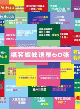 Funny sters Quotes Stickers 60 Colorful Text Stickers Notebo