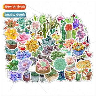 Succulents 71 Helmet Decals Journal ggage Notebook Stickers