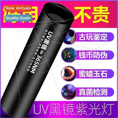 Mini rechargeable LED violet light banknote detection anti-c