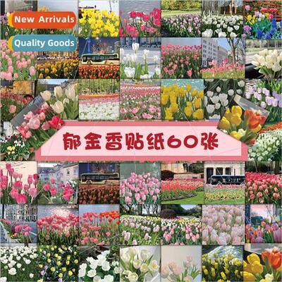 60 tulip stickers ins wind spring flowers flowers aesthetic