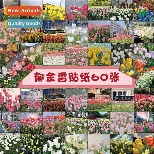 60 tulip stickers ins wind spring flowers flowers aesthetic