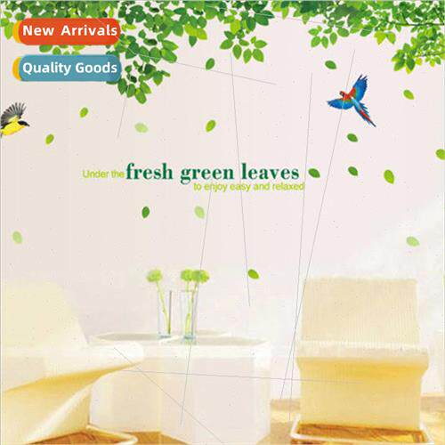 Duplex Fifth Generation No White Edge PVC Transparent Film T