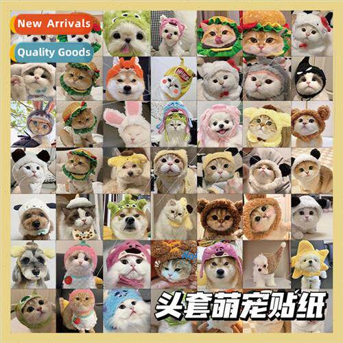63 head cover cute pet stickers cute kitten dog pet stickers