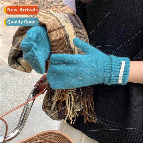 Korean gloves female fall and winter new warm touch screen c