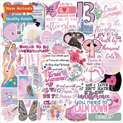 50 pink mold albumlover graffiti stickers guitar notebook lu