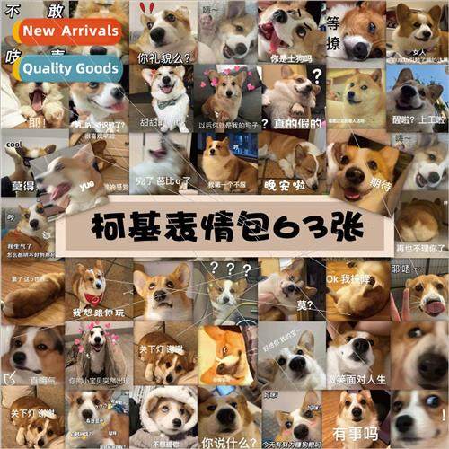 60 pcs Corgi Stickers Sand Sculpture Funny Dog Emoticon Deco