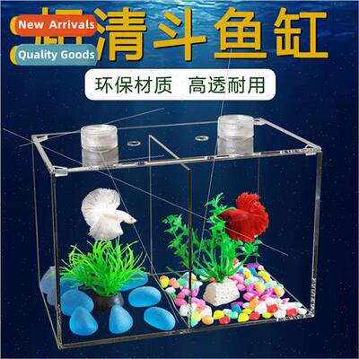 Desktop small fighting fish aquarium acrylic Thailand fighti