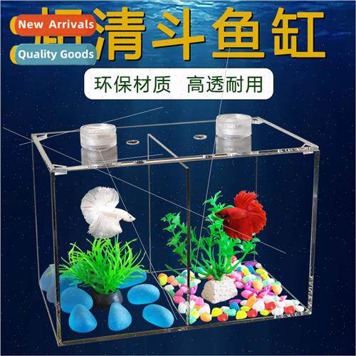 Desktop small fighting fish aquarium acrylic Thailand fighti