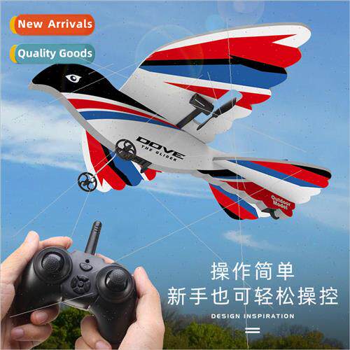 New BM19 RC Pigeon Glider Two Channel Fixed Wing KT Magic Bo