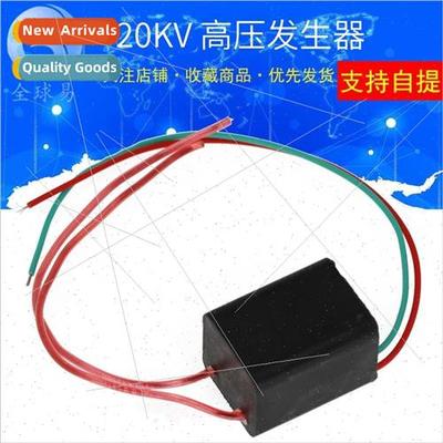 Small volume high-voltage module high-voltage igniter mute a