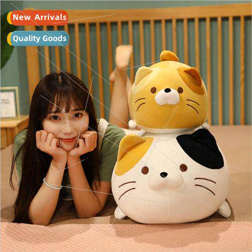 Soft fat house group cat doll plush toys down cotton kitten