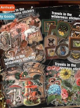 PET sticker pack Mountain Wild Chronicles series Retro Creat