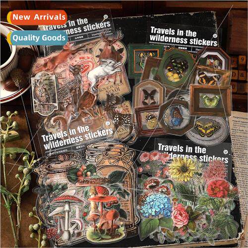PET sticker pack Mountain Wild Chronicles series Retro Creat