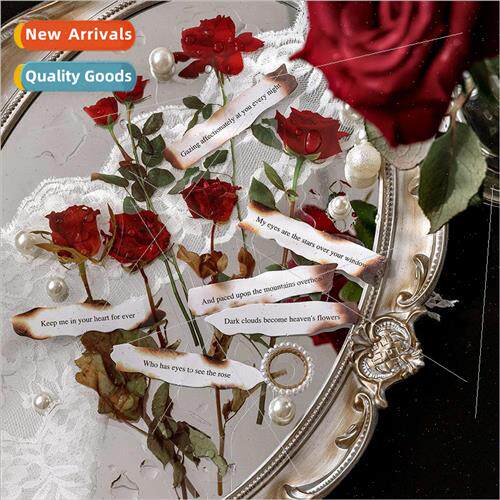 PET sticker pack plants and poetry series ins literary rose