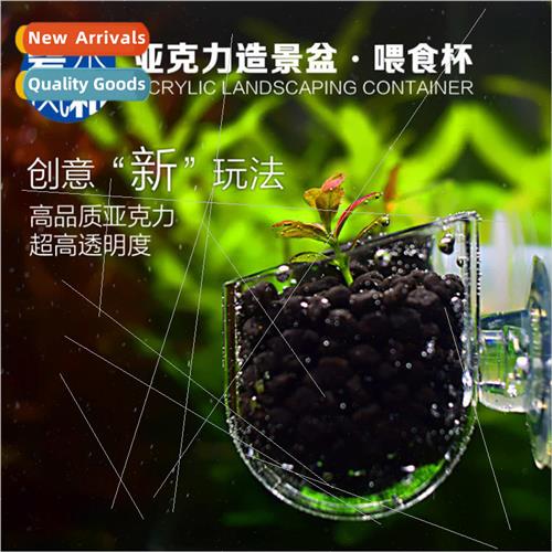 Bishui Fenghe Acrylic Red Worm Cup Aquascape Tank Red Worm N