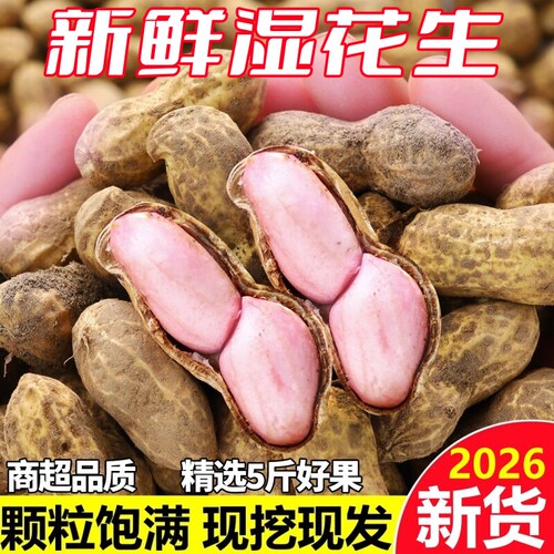 2026新鲜湿花生带壳生花生