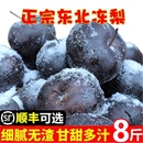 东北冻梨大黑梨正宗大冻梨冬梨延边东北苹果梨大果新鲜水果特产