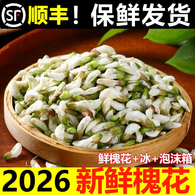 洋槐花新鲜现摘2026应当季蔬菜野菜刺槐米杨槐花骨朵时令顺丰包邮