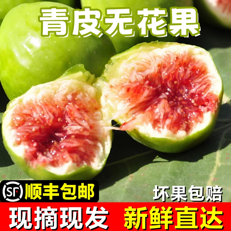 威海青皮无花果新鲜鲜果