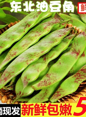 东北油豆角现摘新鲜蔬菜正宗一点红油豆角九月青黑龙江整箱包邮10