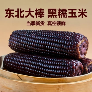 东北黑糯玉米新鲜今年新货新鲜黑玉米大棒苞米当季黏玉米真空代餐
