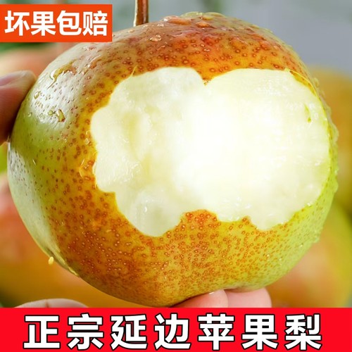 延边苹果梨东北延边新鲜水果