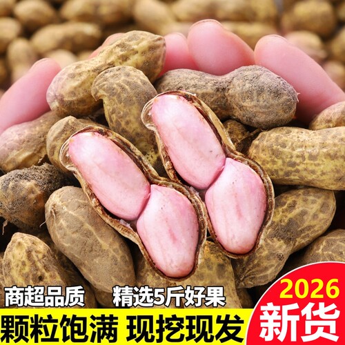 2026新鲜湿花生带壳生花生