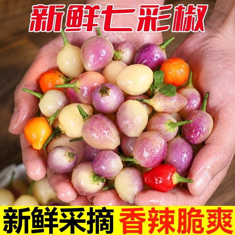 广西七彩椒新鲜灯笼椒泡椒剁椒图片