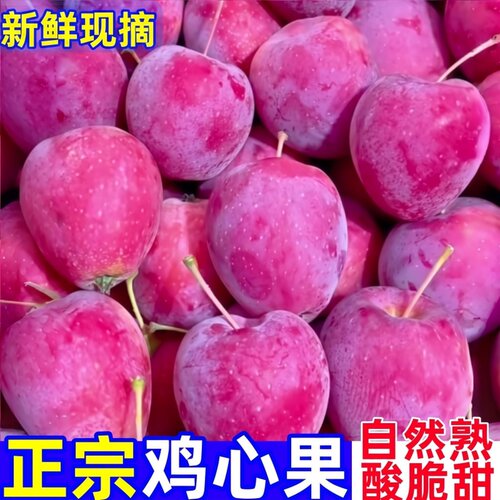 【现货速发】正宗东北鸡心果新鲜