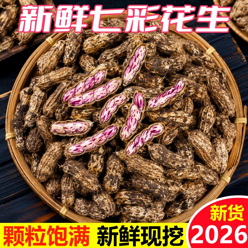 2026云南新鲜七彩花生湿花生带壳新鲜带泥发货农家自种现挖生花生