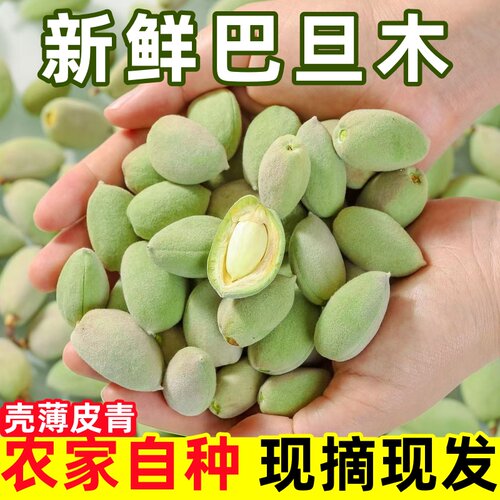 2026新鲜巴旦木青皮巴旦木