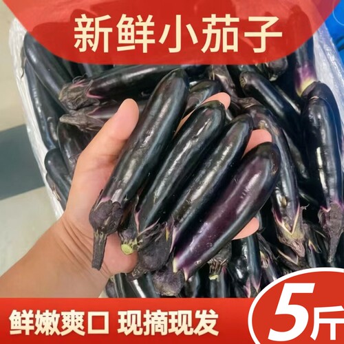 东北小茄子新鲜腌制生吃包邮