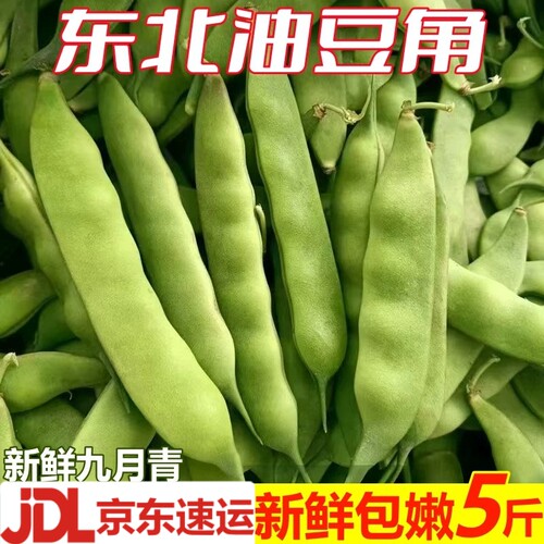 京东|东北油豆角新鲜现摘九月青
