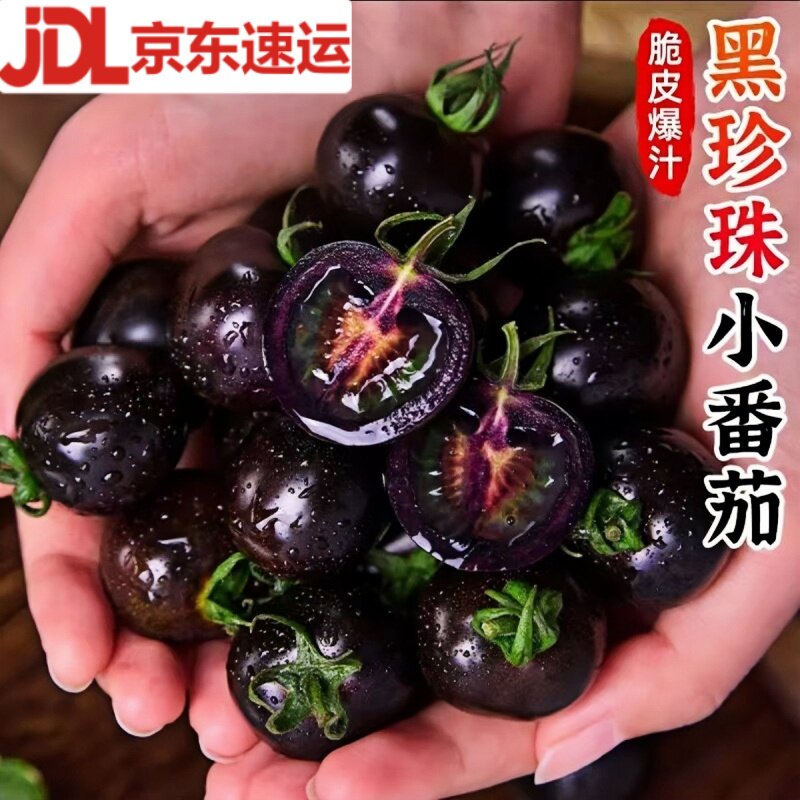 黑珍珠小番茄山东小番茄新鲜即食紫黑色生吃圣女果墨明珠小柿子