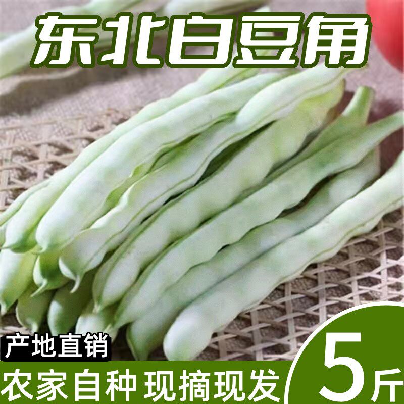 东北芸豆角新鲜四季豆白豆角扁豆包邮老来少东北豆角现摘蔬菜