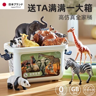 日本恐龙玩具男孩儿童软胶霸王龙三角龙仿真动物模型手办摆件礼物