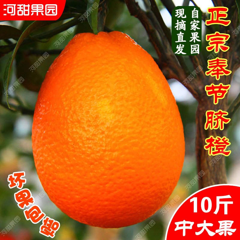 京东/顺丰快递奉节脐橙现摘新鲜