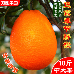 重庆奉节脐橙特产纽荷尔现摘新鲜纯甜橙子当季水果礼盒装整箱