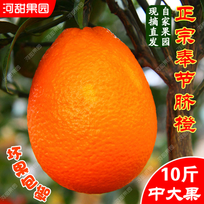 京东/顺丰快递奉节脐橙现摘新鲜